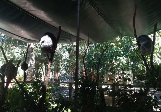 そんな期待しないでください