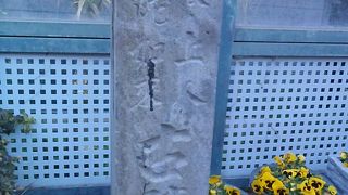 木の実だけを食する修行