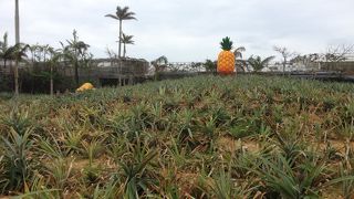 知名度はあるけれど…