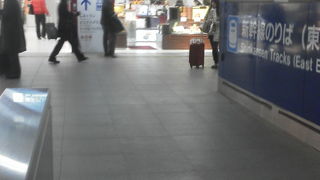 シュガーバターの木売っています