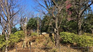 古墳である可能性は高い？らしい