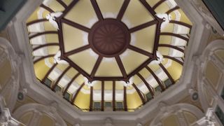 思わず見上げてしまう