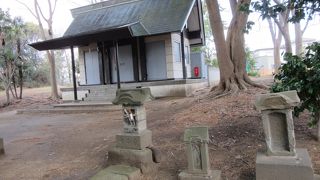 街道沿いの鎮守の杜に・・・鎮座