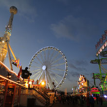 見ているだけでワクワクしてきます