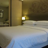 バスルームとの仕切りのドアはスライドさせられます