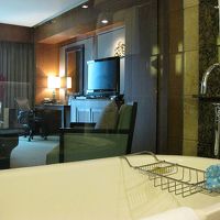 バスタブ上の象も記念品になりました