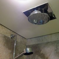 レインシャワーも、ここで初めて目にしました