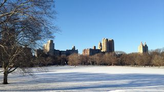 雪景色のセントラルパーク