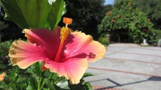 観光客も少なく静かに過ごせます