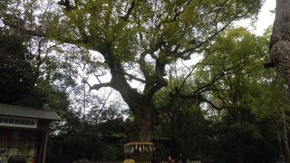 大きな蛇が住んでいるといわれています