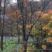 秋。ウッドデッキの柵の向こうに川が流れています