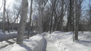 第二農場の北側