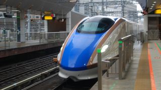 東京駅で新幹線を見学