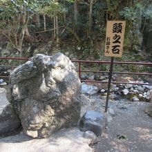 頭良くなるかな