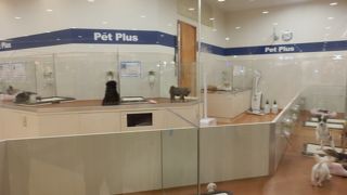 店内でわんちゃんが騒いでいた