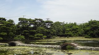 巨大な大名庭園でタイムトラベル