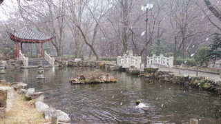 中国風の庭園もオススメ