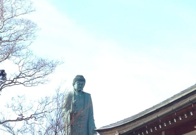 琵琶湖沿いある大きな大仏様が目印です!!