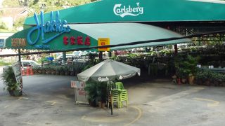 タクシーの運転手のおすすめ