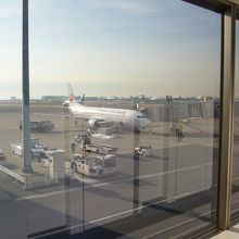 第1ターミナルのJAL機