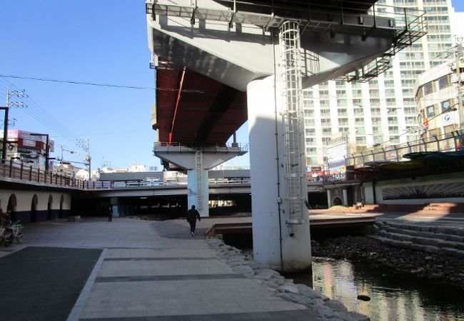 温泉川市民公園　　ウォーキング　春は桜がきれい