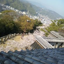 天守閣からの眺め　桜が綺麗でした！