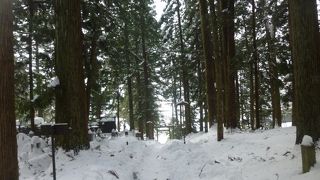 神社やお寺が点在している遊歩道