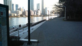 聖路加ガーデンに直結している公園です