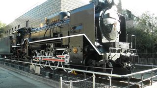 国立科学博物館の特別展用の入り口のすぐ横に展示されていました