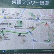 東急地下化でできた散歩道