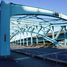 長く生き残ってほしいな