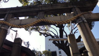 お正月はにぎわいます