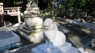 境内はウサギでいっぱい