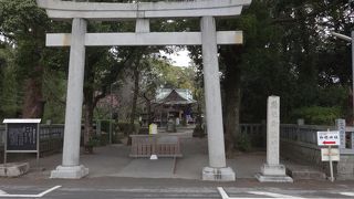 せっかくですから、参拝よろしく～