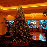 クリスマス前だったのでレジストレーションの前にツリーがあった