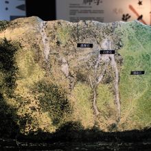 地質史の展示も