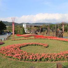 新生園区の南の方から北