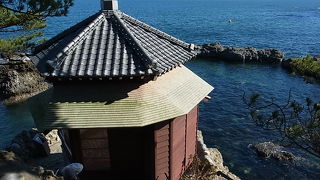 見事な姿がよみがえりました