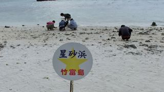 みなさん　一生懸命　星砂を探しています