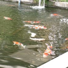 お庭を観ながらほっこり。