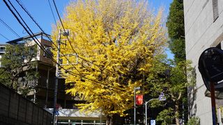 安政6年(1859年)から明治元年(1868年)まで住んだ場所