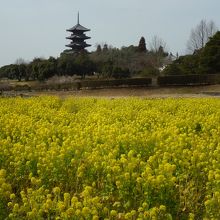 もうすぐ春です