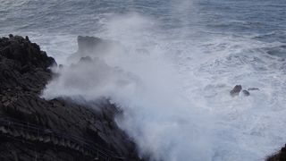 名前の由来がすごい・・・。