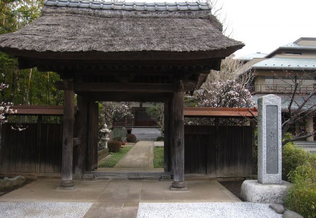 茅葺き屋根の素敵なお寺