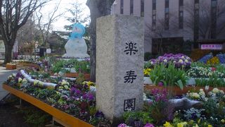 三島駅前にある広い市営の公園