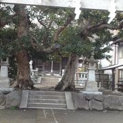 寿福寺のお隣です