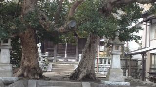 寿福寺のお隣です