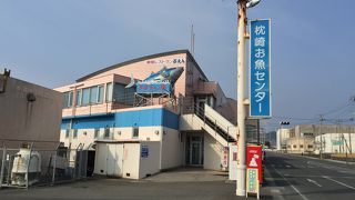 海産物はこちらで！