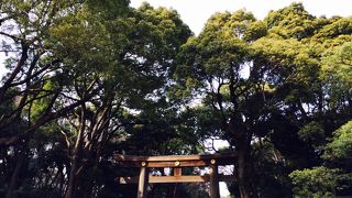 東京初詣の聖地