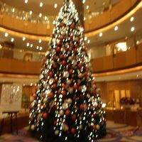 クリスマスの時期には大きなツリーや飾りがあってきれいです